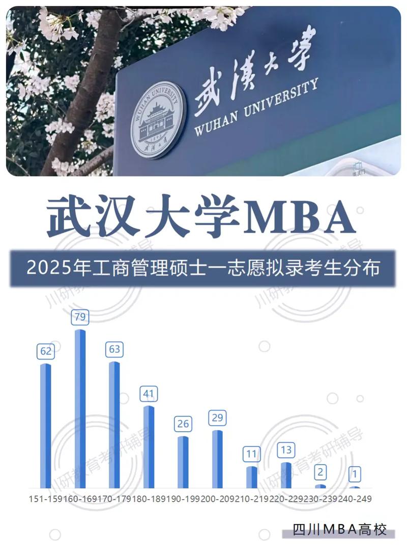 武汉大学经济与管理学院 企业管理的学术重镇与创新引擎